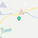팜힐링고