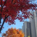 현중어린이공원 이미지