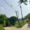 심중1구마을회관노인회관 | 청주 유채꽃 구경 추천 추정리 메밀밭 유채꽃 주차 및 후기, 팁(5.24기준)