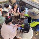 2025.11.07 봉현초병설유치원-초록샘 이미지