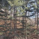 산유리보건진료소 네이버블로그