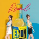 (주)레몬 이미지