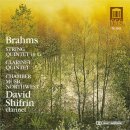 빌스마일 | #2 - 브람스(Johannes Brahms :1833-1897)