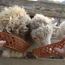 노을목장 이미지