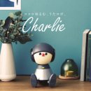 봄커뮤니케이션 이미지