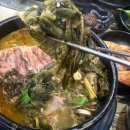 삼척맛집 삼척 현지인들이 많이 찾는 해장국집 삼척해장국