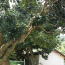 학동민박 이미지