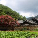 진주 용호정원 이미지