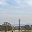 밑반찬 야간 | 안성 | 2026년 첫 야간 라운딩 벚꽃 흩날리는 신안CC 후기 (4월 둘째주)