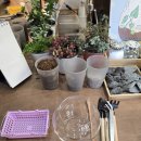 에버해피 | [내돈내산] 안국역 해피에버애프터 원데이클래스 후기