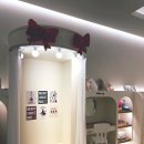 디어룸(DEAR:OOM) | 인천 검단신도시 단체로 놀기 좋은 대관 키즈카페 '디어유유'