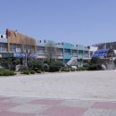 목천초등학교 - 44631 | 목천초등학교