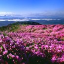 세명여행사