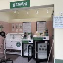 버블독스원주