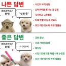 데이즈스튜디오 이미지