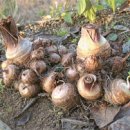 모쿠모쿠 이미지