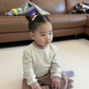 코로네수학당학원 | 0223-0301 육아일기ㅣ생일파티, 수료식 그리고 봄방학 버ㅌ ㅕ,,