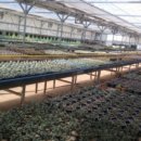 용두농장 이미지