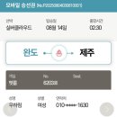완도읍-6 | [완도, 제주] 완도 발 제주행 실버 클라우드호 후기｜승선부터 도착까지