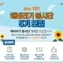 해바라기 취업 이미지
