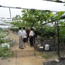 아곡농장 이미지