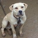 오공이 농장 이미지