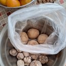 서광노인가정방문요양센터 | 양산 방문요양 주간보호센터 후기 새양산방문요양주간보호센터