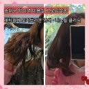 홍일지헤어 | 방이역 미용실 그로잉살롱｜흰머리 새치커버 모카브라운 염색 · 나노힐 클리닉 후기