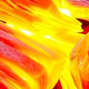 케이에스유통 이미지