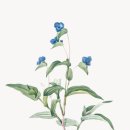 친환경 보자기 포장법 이미지