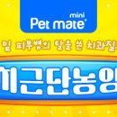 포레브동물의료센터 이미지