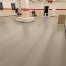 핫도그 애견 이미지