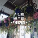 블로엠 | 신림 카페 블로엠 꽃과 커피를 함께 즐기는 이색카페