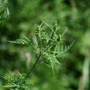 애기등 공원 이미지