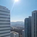제일소독환경공사