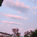 승경사계(하루날) 이미지