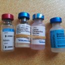 중랑차동물병원 이미지