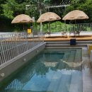 댕댕이 카페 이미지