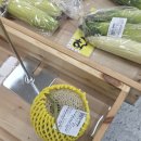 물금꼬마김밥 | 통도사 다녀오다 들른 양산시 상북로컬푸드통합센터 솔직 후기! (주차, 카페055, 물금 매장 비교)