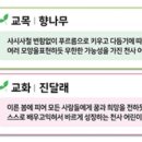 부산천사의학교 이미지