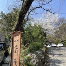 새소리 물소리 | 성남 카페 추천 새소리물소리 성남점 ~힐링되는 분위기 방문후기