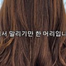 바비수앤 이미지