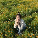 마이리즈홈