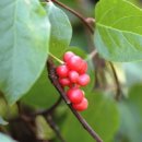 영화한의원 이미지