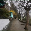 선학산전망대 이미지