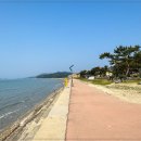 임자도횟집 - 서구 상무평화로 116 | 임자도횟집