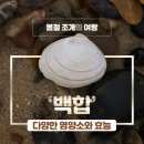 백합 이미지
