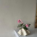 아룸뷰티 - 여수시 | 아룸뷰티
