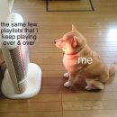 플리Playlist 이미지