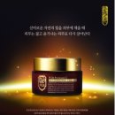 PGB(피지비) 머니투데이